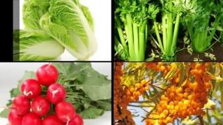 Новые блюда, хлеб и безлактозная продукция