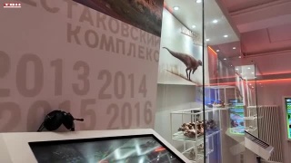 Итоги и планы Пушкинской карты в Кузбассе