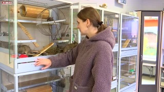 Акция «Рука друга» в «ЭкоТауне» дворца Крупской