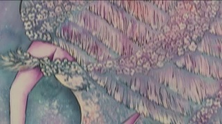 «Нежность» Ирины Беловой