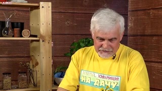 Анонс программы «Вперед, товарищи! На дачу!» от 15.04.25