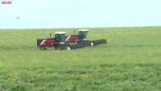Возвращение земель в сельхозоборот