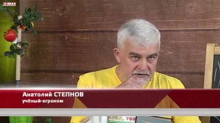 Анонс программы «Вперед, товарищи! На дачу!» от 24.03.26