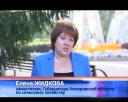 Дачники могут продать свою продукцию 18 сентября
