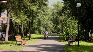 Бюсты трех братьев в сквере Гаденовых