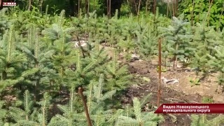 Соцконтракт для старта своего бизнеса