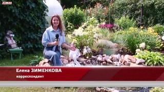 Конкурс красивых дворов в Кемерове