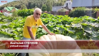 Анонс программы «Вперед, товарищи! На дачу!» от 09.09.25