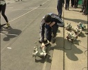 Пожарно-прикладной спорт