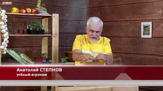 Анонс программы «Вперед, товарищи! На дачу!» от 16.04.24
