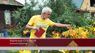 Анонс программы «Вперед, товарищи! На дачу!» от 08.08.23