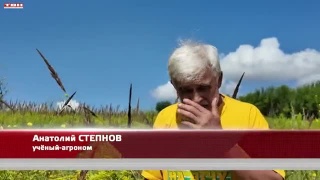 Анонс программы «Вперед, товарищи! На дачу!» от 28.07.26 