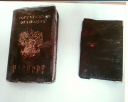 Выжил после нескольких ударов топора. Судный день