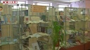 Экологическая выставка в Гоголевке