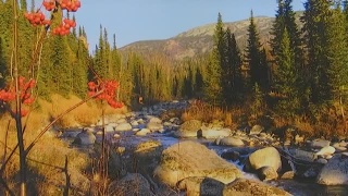 Фотопейзажи родного края