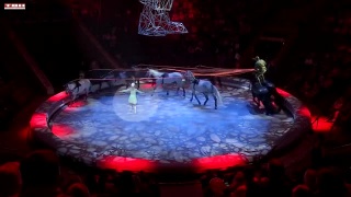 Представление «Клоун» в цирке