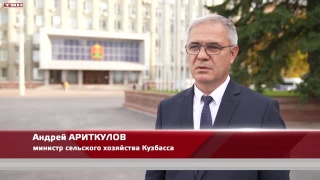 Кузбасс обеспечил себя хлебом