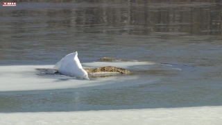 Обеспечить безопасность на водных объектах