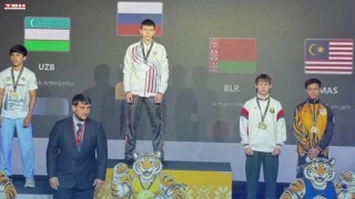 Множество медалей по муайтай из Малайзии