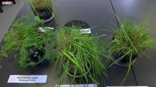 Биоразработки помогут ЕВРАЗу в реализации экологической стратегии