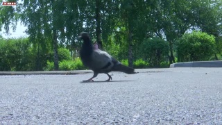 Жители контролируют ход работ