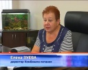 Комбинат питания на выборах