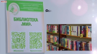 День библиотек. Библиотека «Мир»