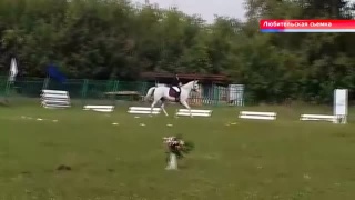 Соревнования по конному спорту прошли в Новокузнецке 