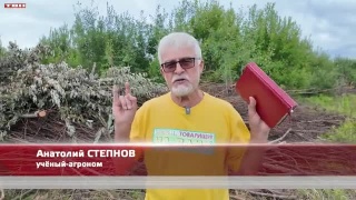 Анонс программы «Вперед, товарищи! На дачу!» от 22.07.25