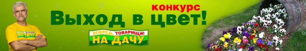 zvet.jpg
